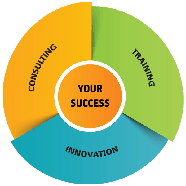 Spirit in Projects